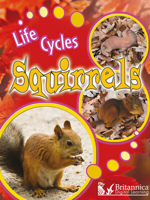 cover image of Squirrels